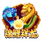 Www.yxvip003.com